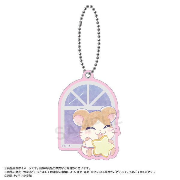 『とっとこハム太郎』~Twinkle Dreams~スライドミラー G.まいどくん